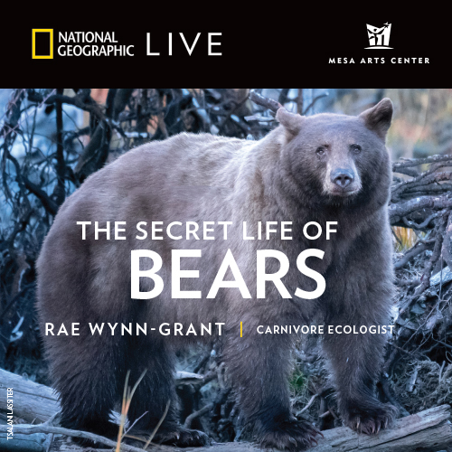 National Geographic Live: Rae Wynn-Grant - The Secret Life of Bears at Thrivent Hall